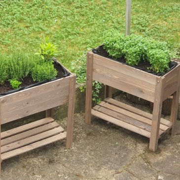 RoSu´s Basilikum-Salz